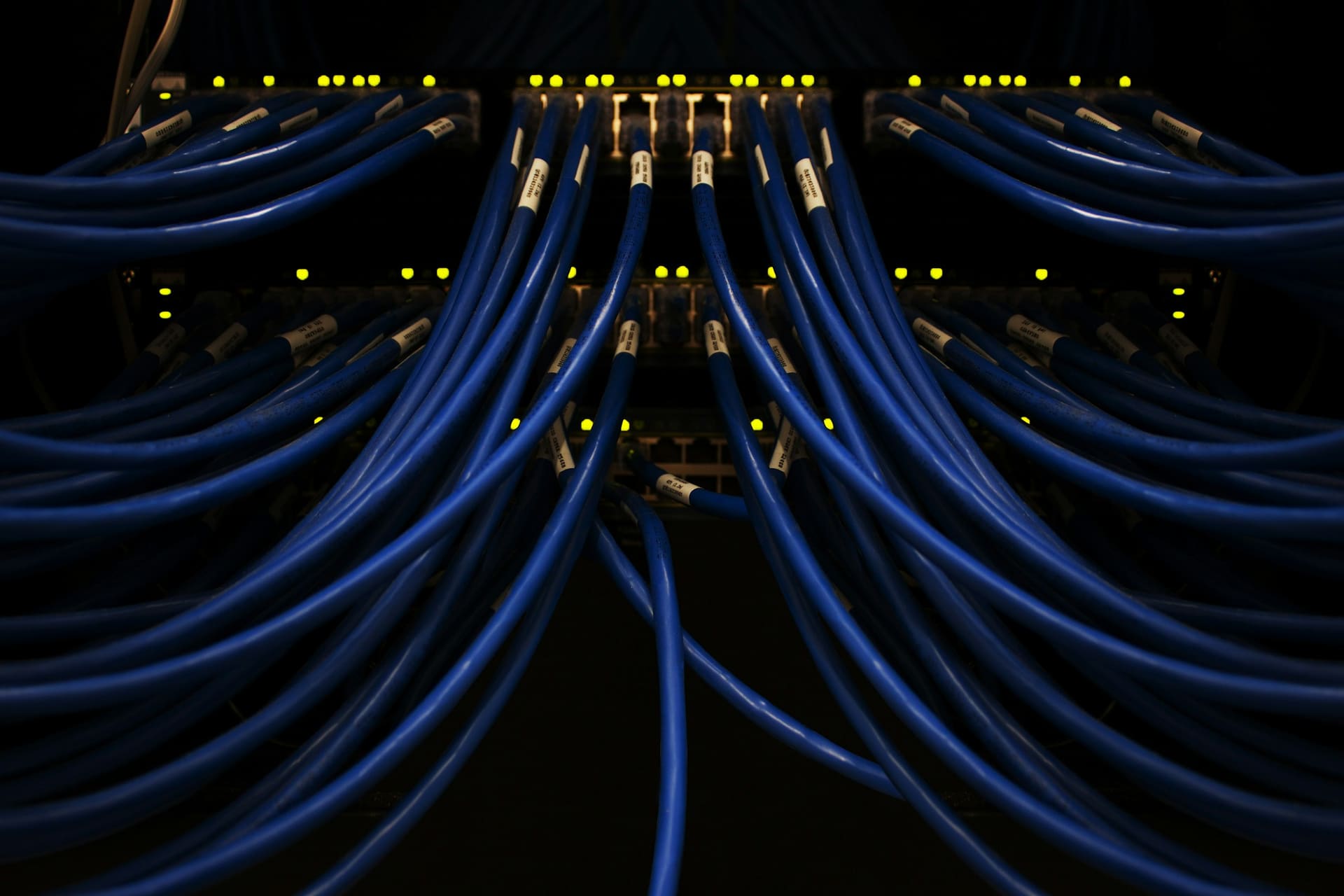 Networking equipment context: patch cables terminated in a cabinet.