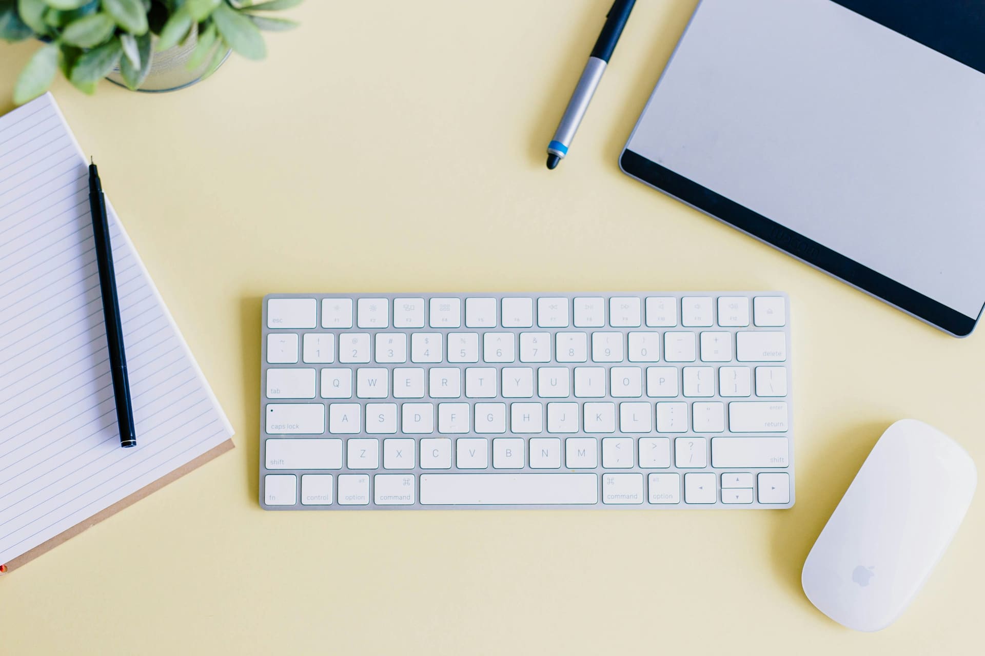 Professional workstation context: keyboard and mouse positioned on a desk.
